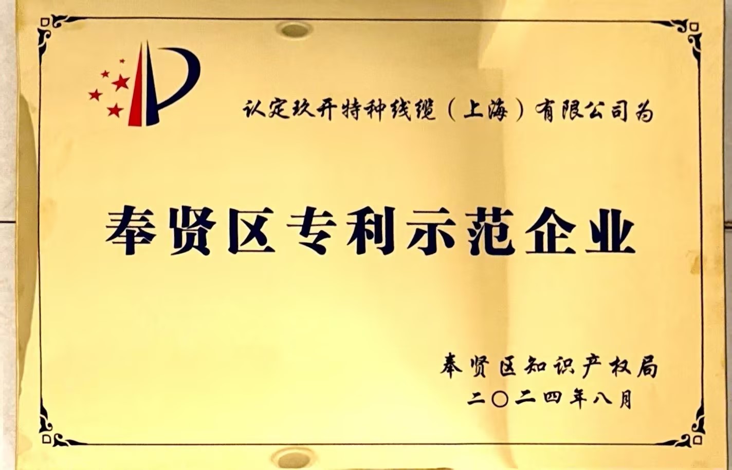 專利示范企業